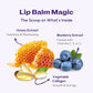 FRUDIA Blueberry Hydrating Honey Lip Balm 10g